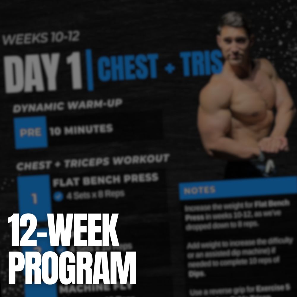 All About Aesthetics Workout Program (Intermediate)